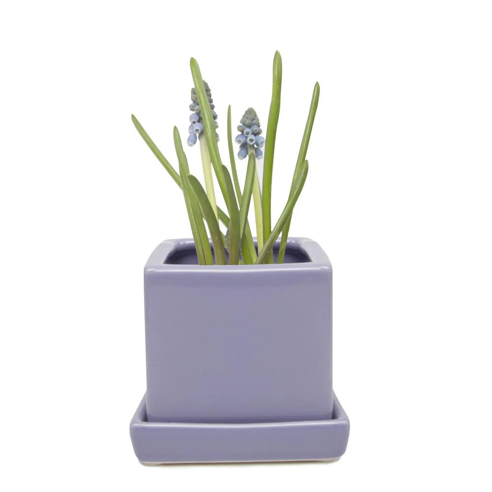 Ceramic Cube & Saucer Plant Pot - Image 3