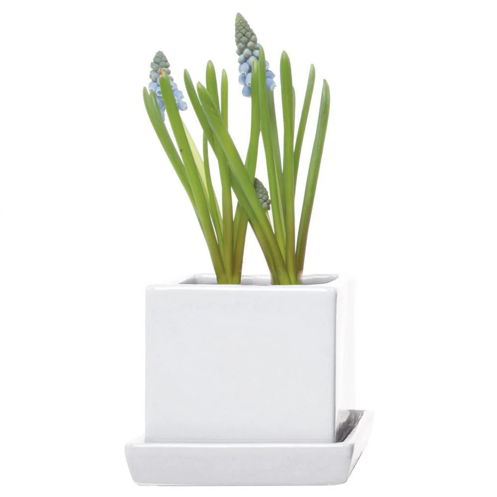 Ceramic Cube & Saucer Plant Pot - Image 4