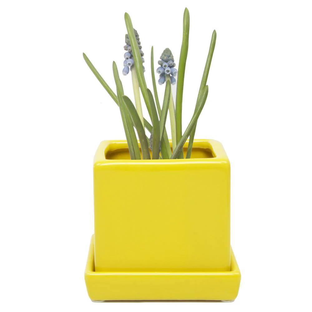 Ceramic Cube & Saucer Plant Pot - Image 5