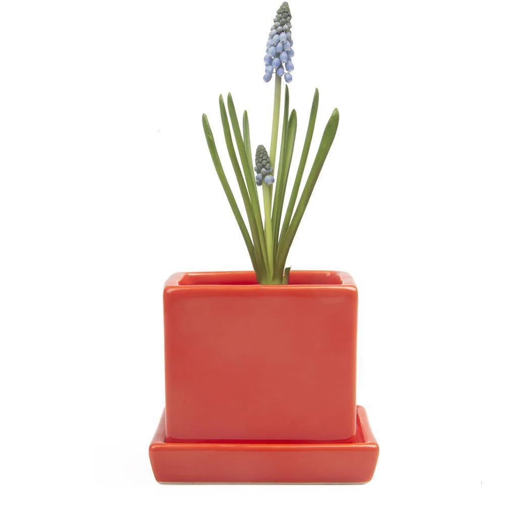 Ceramic Cube & Saucer Plant Pot - Image 6