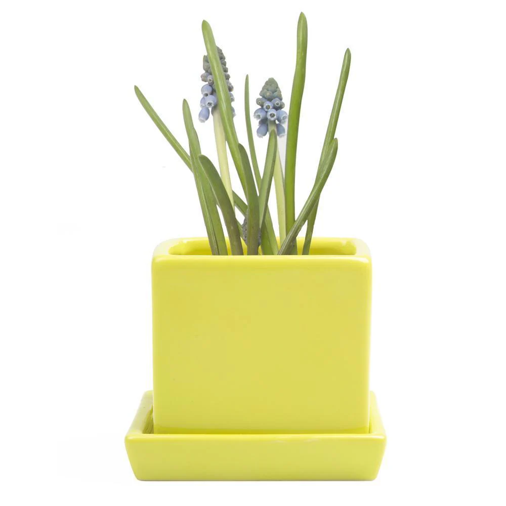 Ceramic Cube & Saucer Plant Pot - Image 9