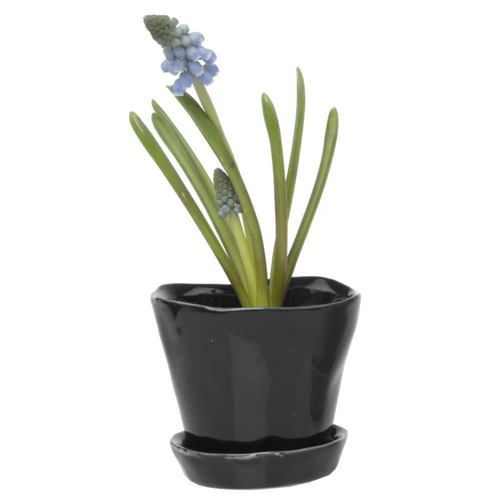 Tiny Tika Pot - Image 10