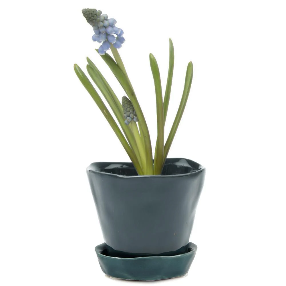 Tiny Tika Pot - Image 3