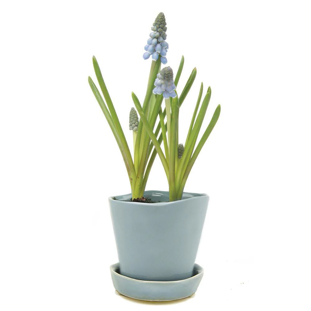 Tiny Tika Pot - Image 6