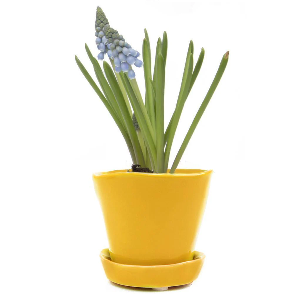 Tiny Tika Pot - Image 7