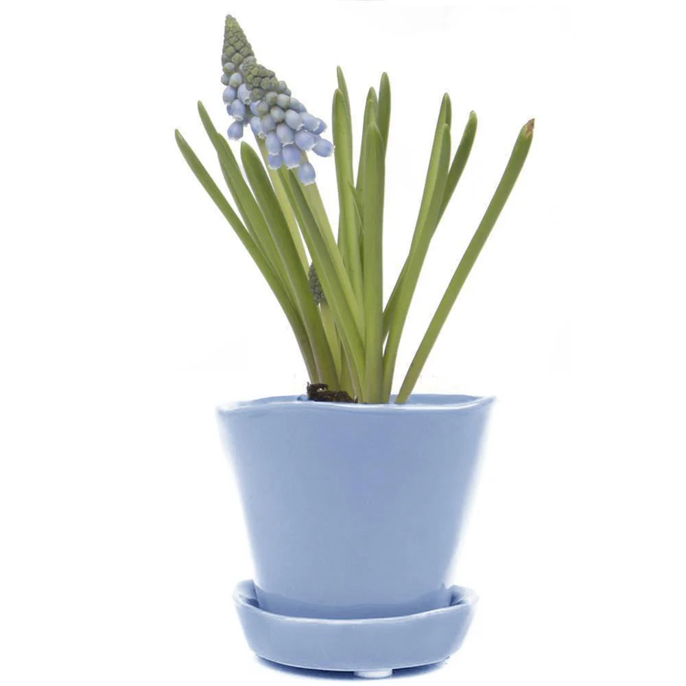 Tiny Tika Pot - Image 9